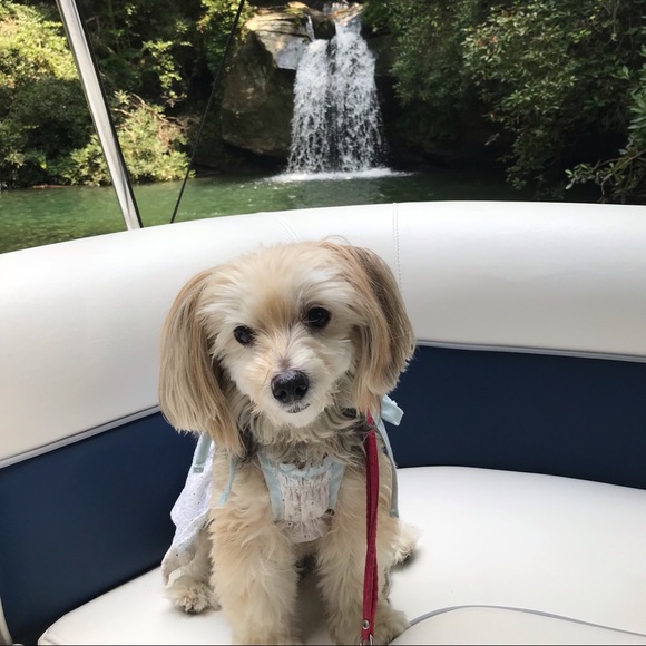 About me.... - Picture 5 of 8